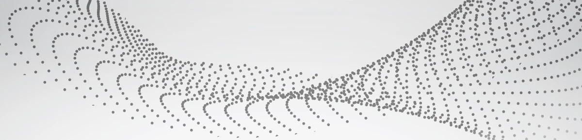 Product Launch Support