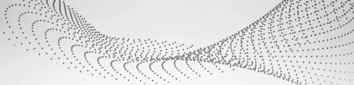 Product Launch Support